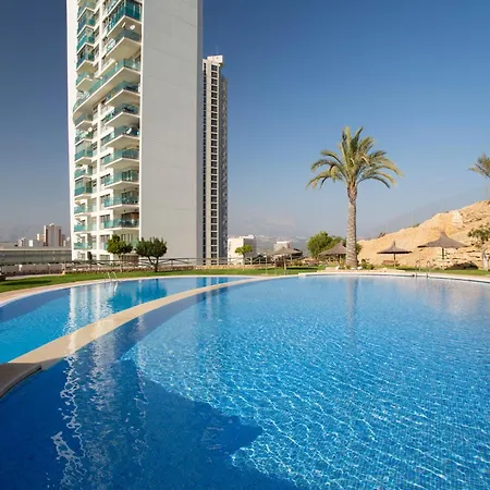 Skyline 19